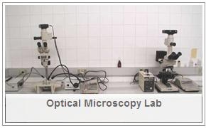 labMicrosOpt(English).JPG