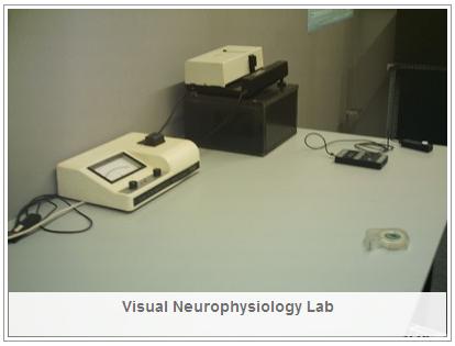 labNeuro(English).JPG