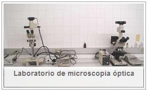 labMicrosOpt.JPG