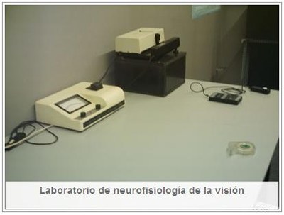 labNeuro.JPG